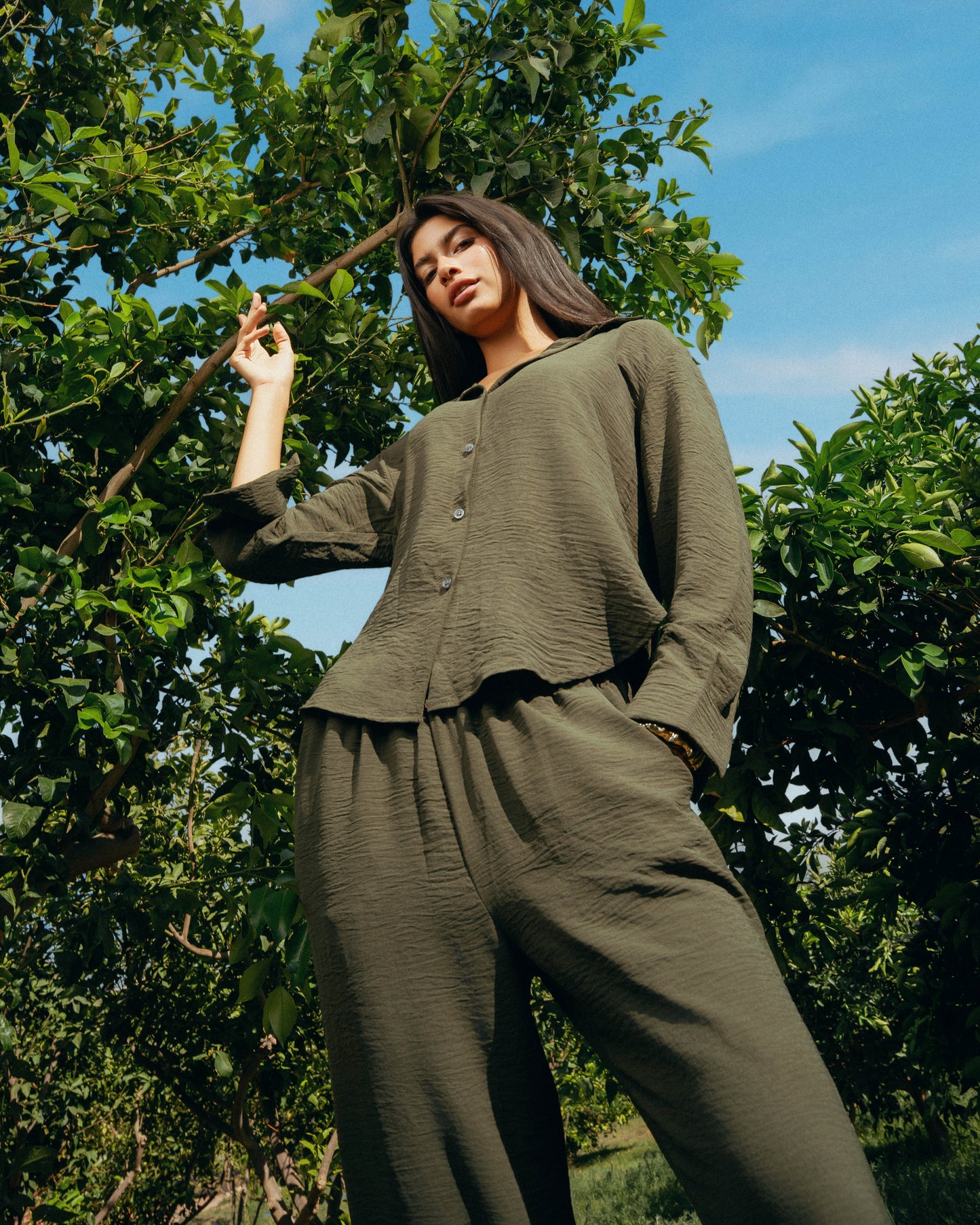 The Soleil Set - Deep Olive