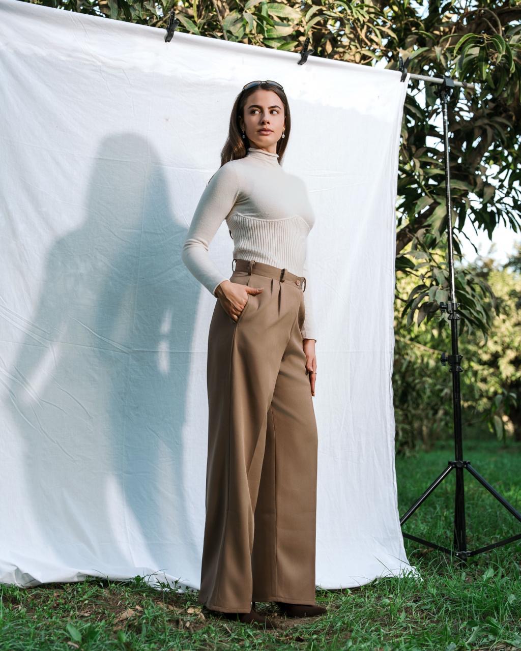 Brown Classic Pants
