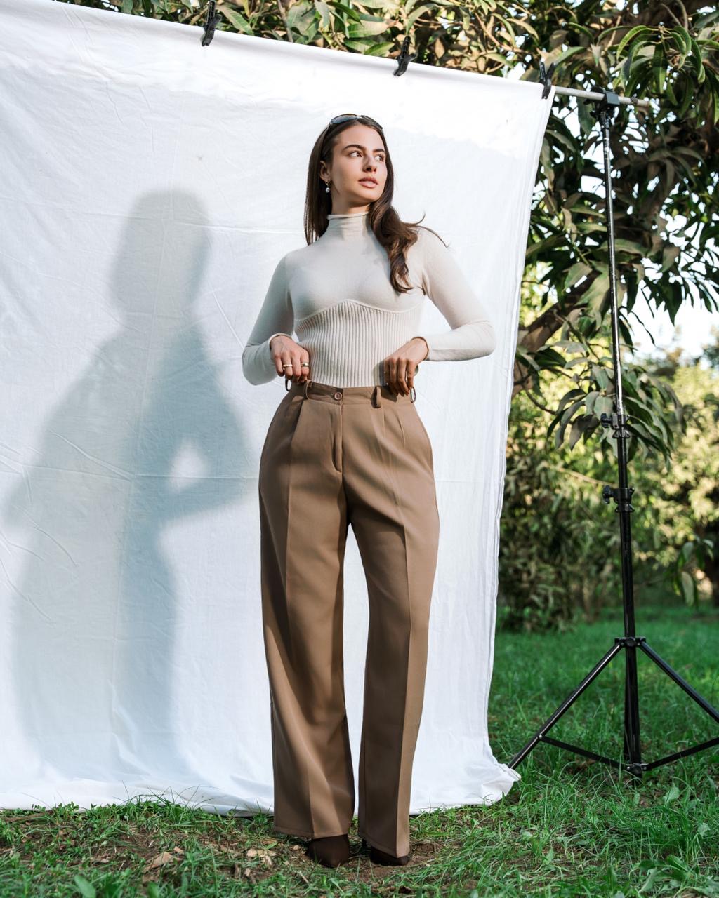 Brown Classic Pants