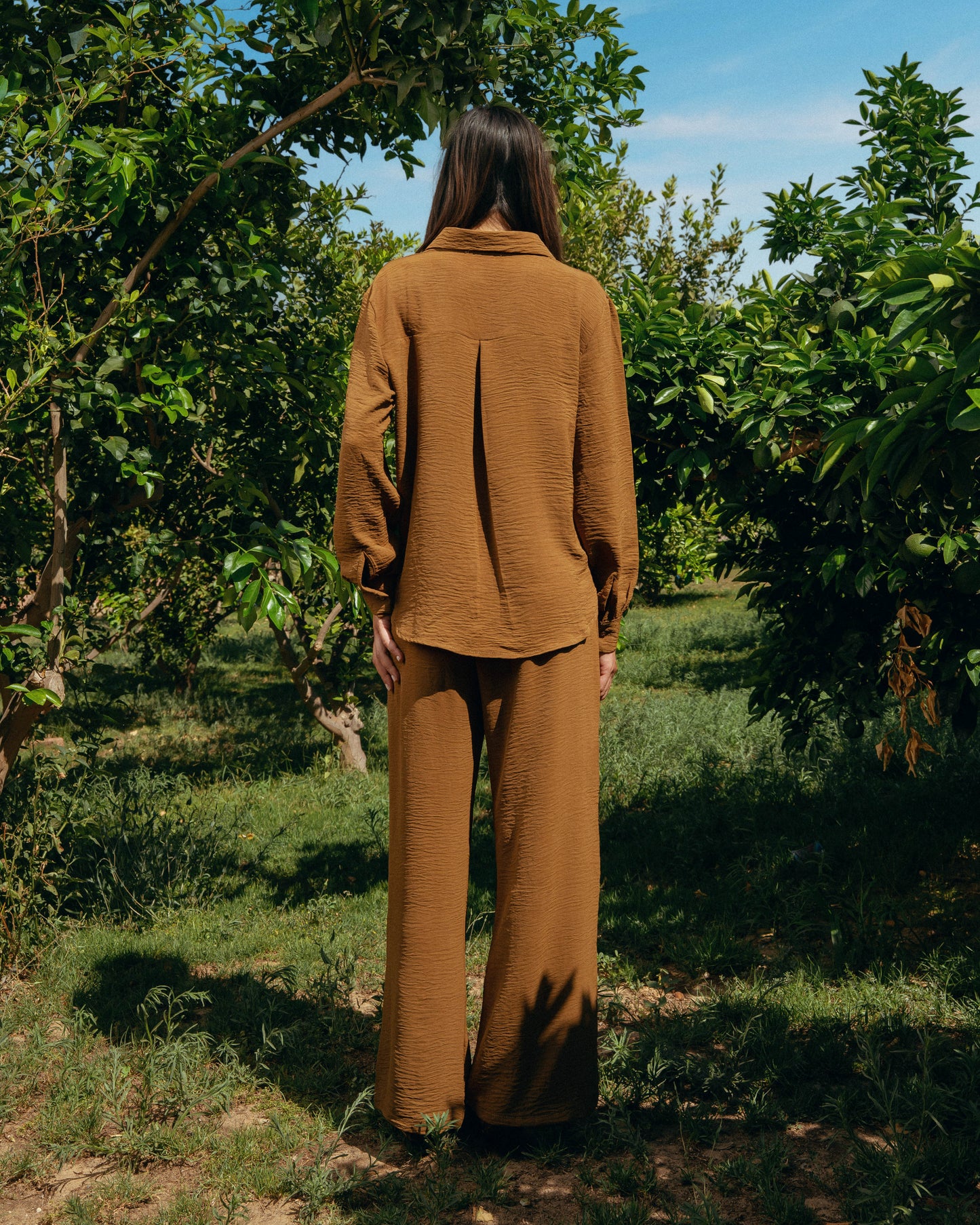 The Soleil Set - Warm Amber
