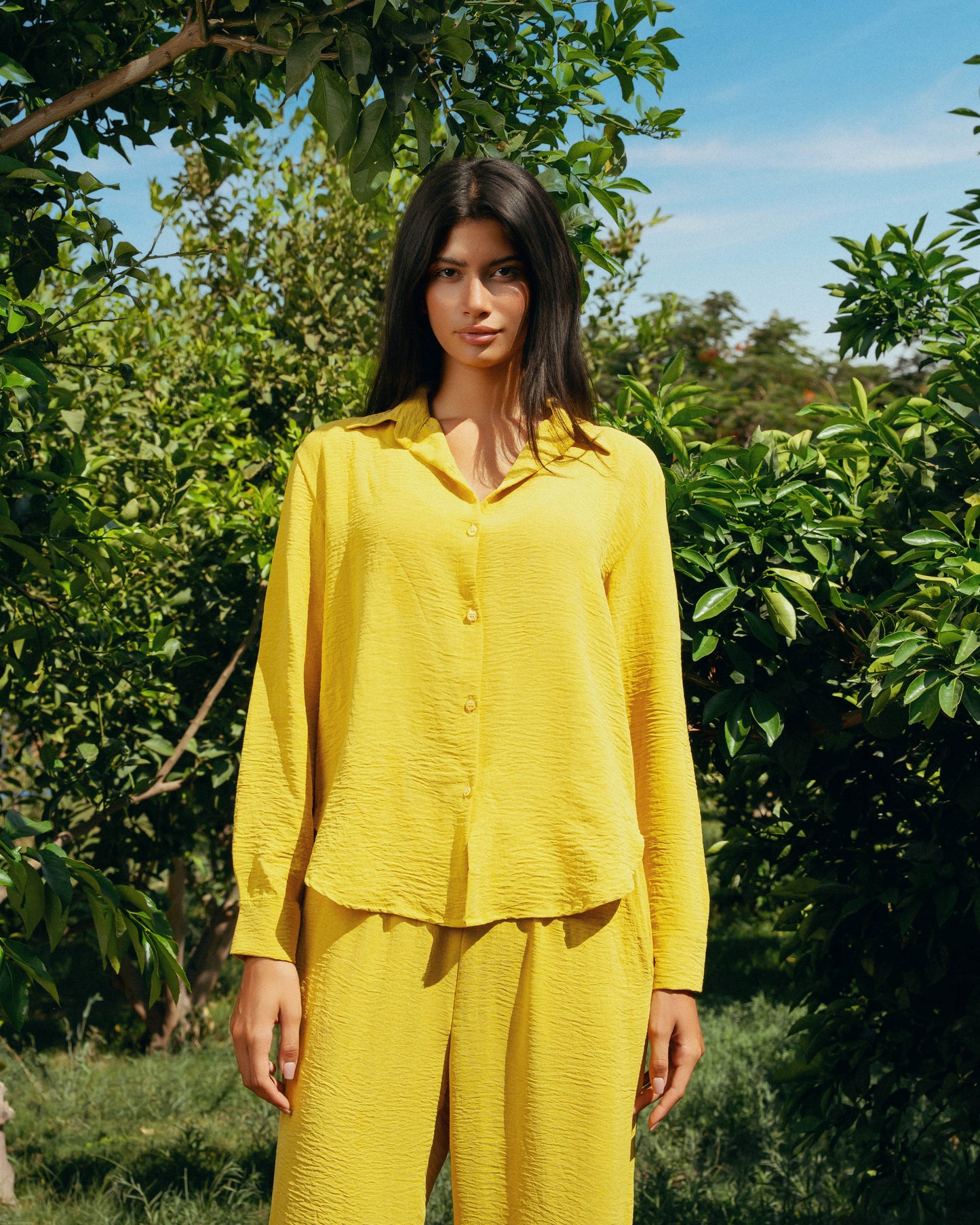 The Soleil Set - Saffron Yellow