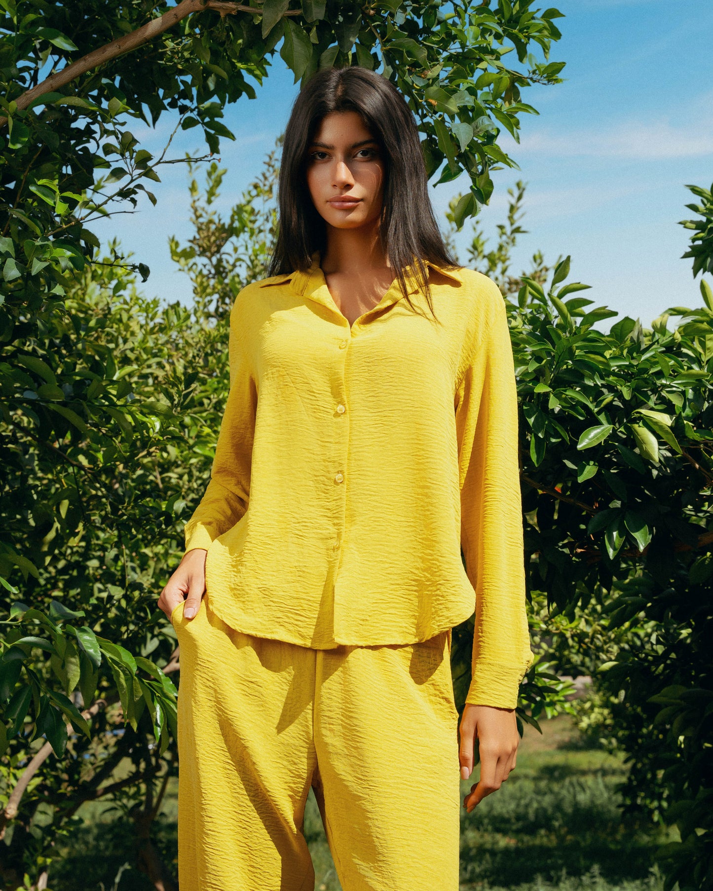The Soleil Set - Saffron Yellow