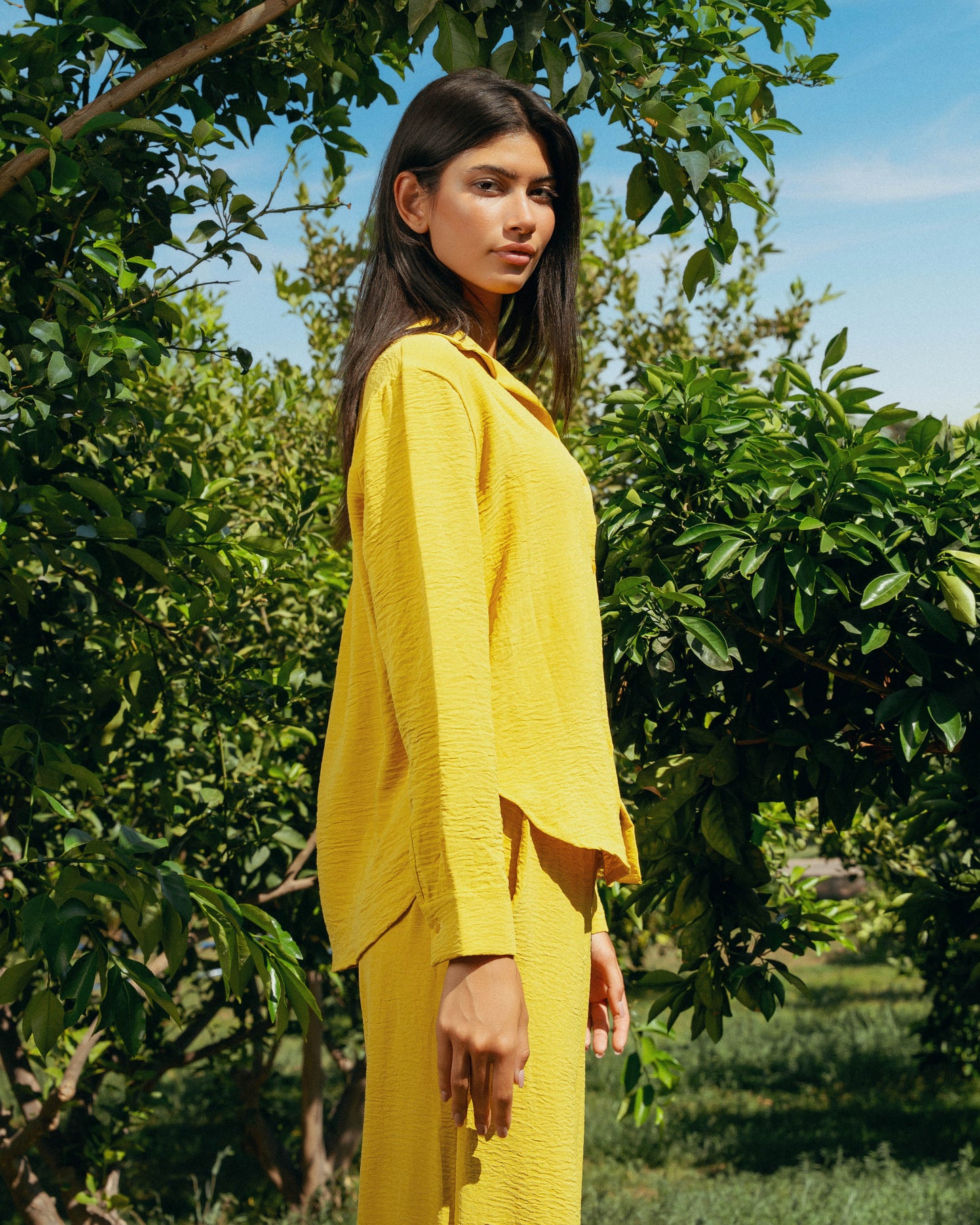 The Soleil Set - Saffron Yellow