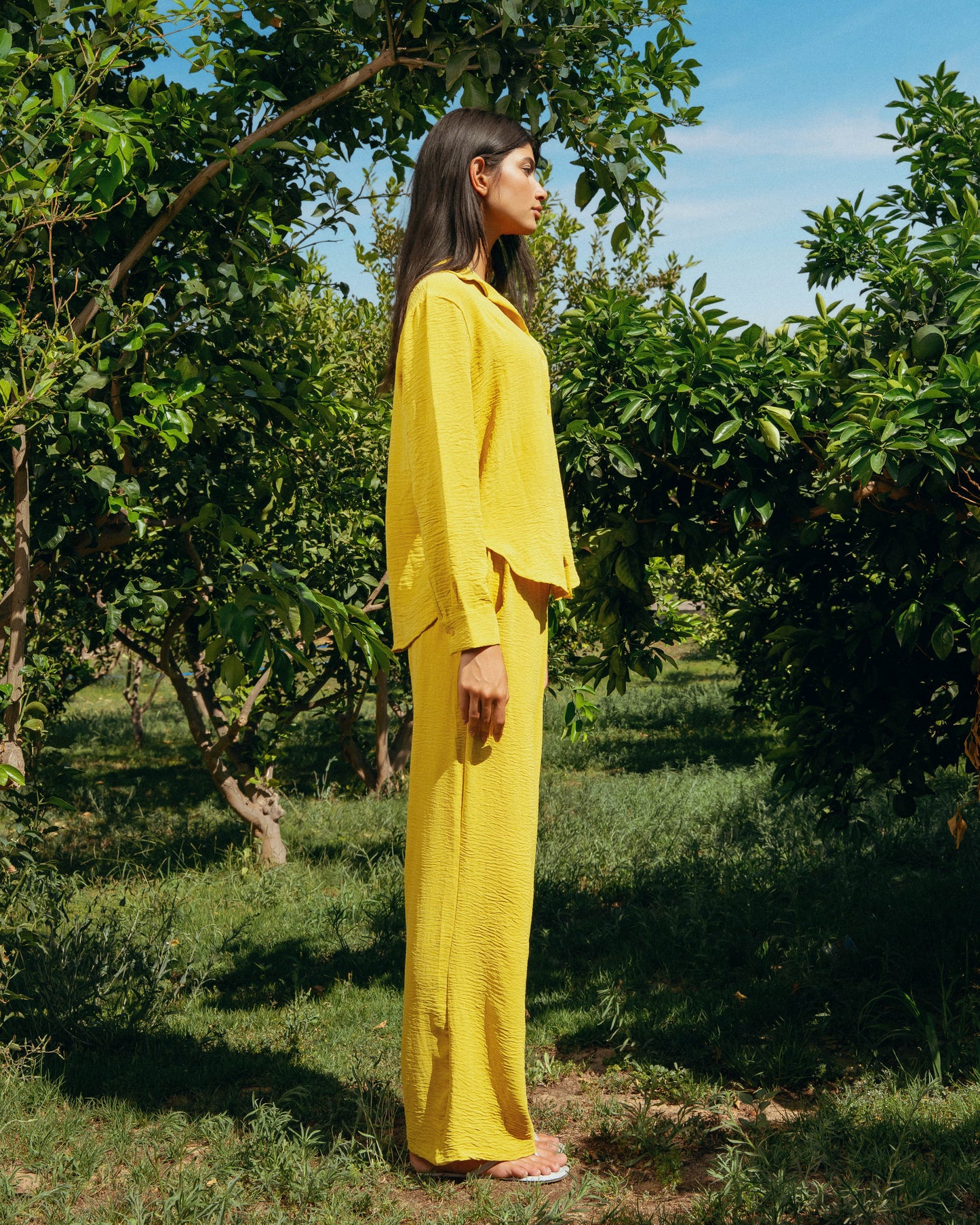 The Soleil Set - Saffron Yellow