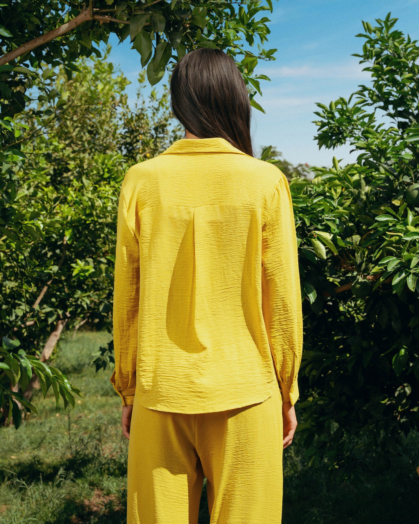 The Soleil Set - Saffron Yellow