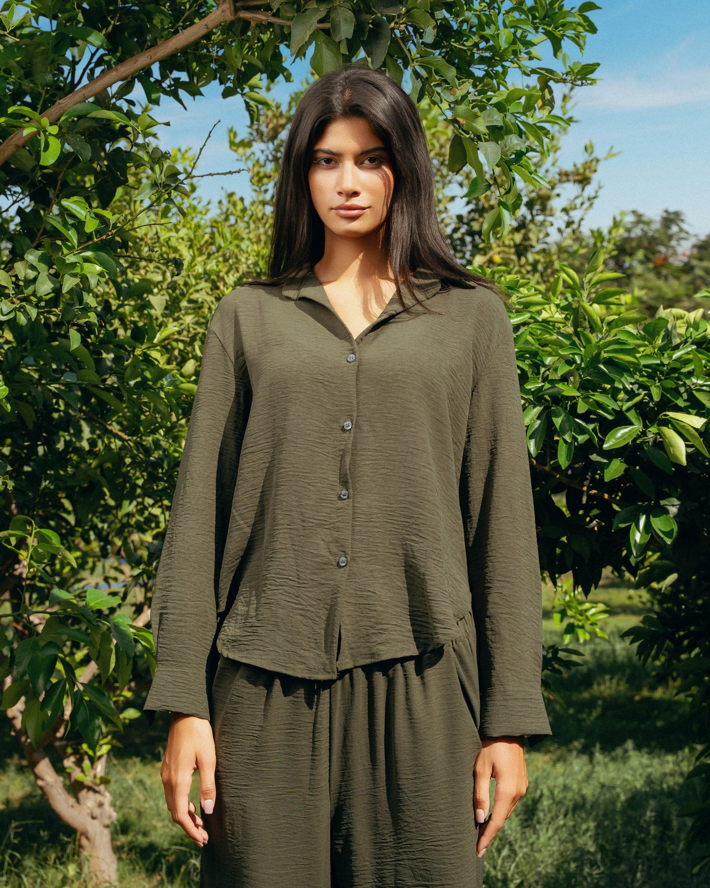 The Soleil Set - Deep Olive