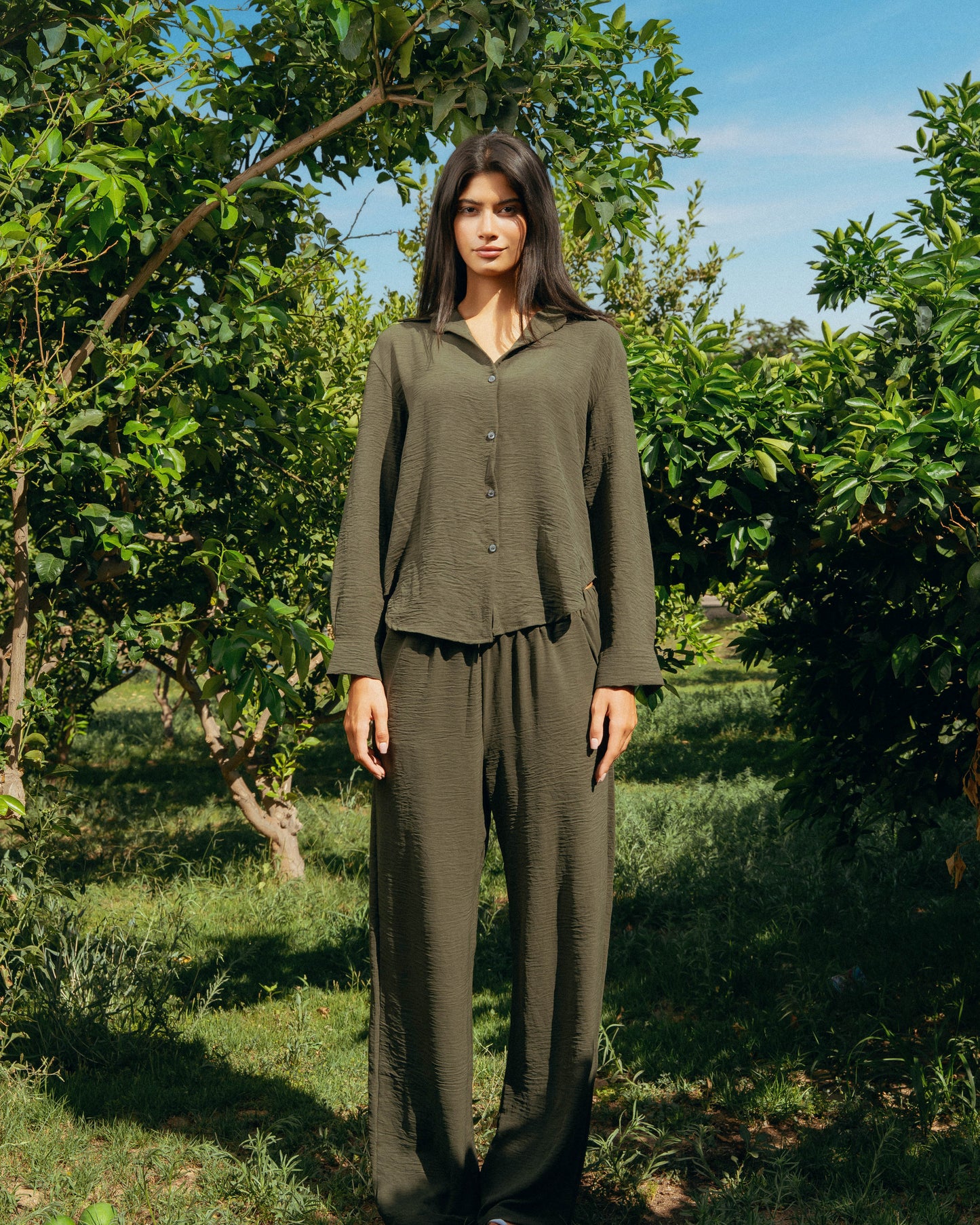 The Soleil Set - Deep Olive