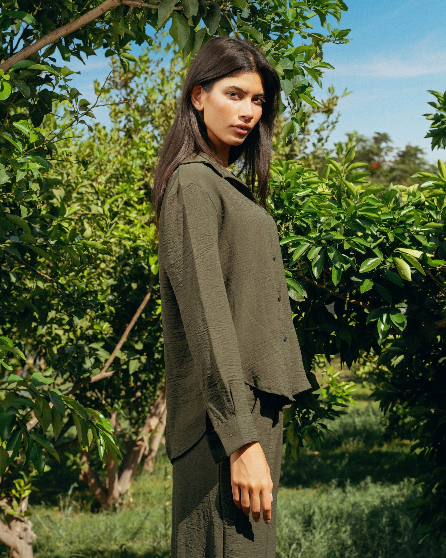The Soleil Set - Deep Olive
