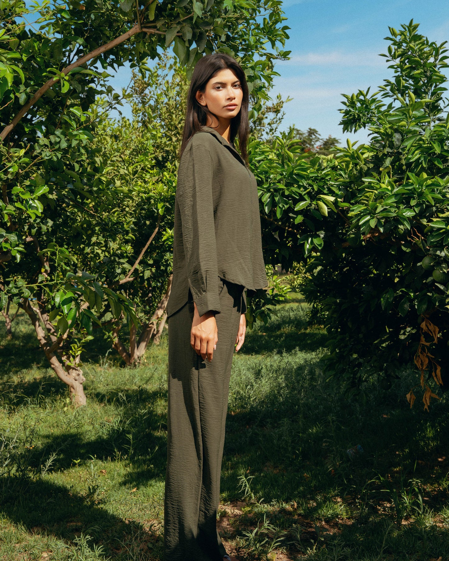 The Soleil Set - Deep Olive