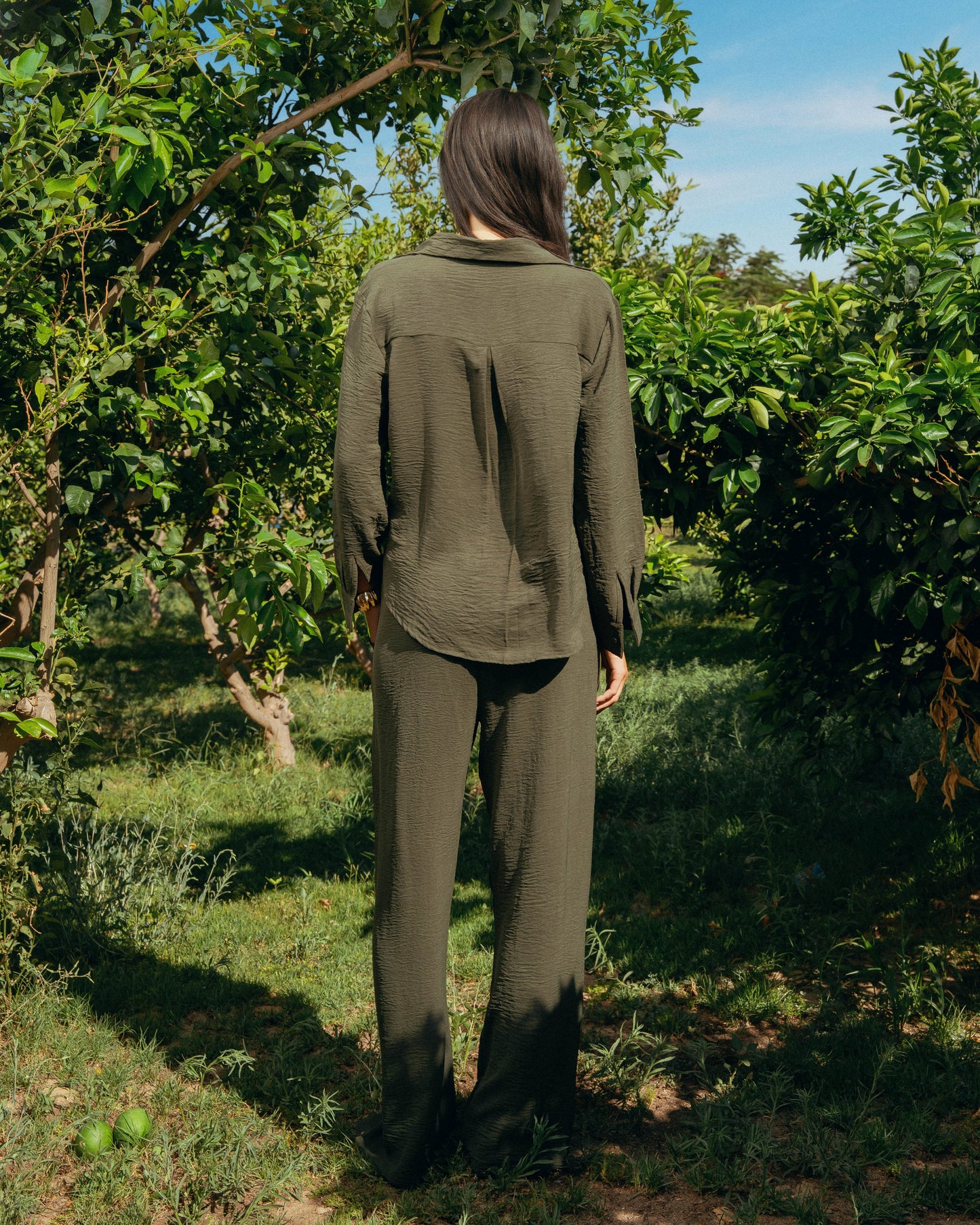 The Soleil Set - Deep Olive